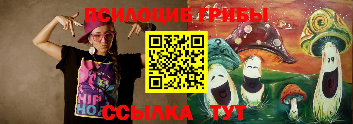 Галлюциногенные грибы Psilocybe  Вход с VPN  Сочи 